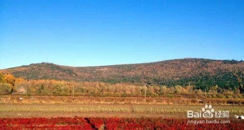 伊春旅游必去景点