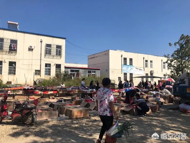 我是一个刚做自媒体的小白,能赚到钱么?