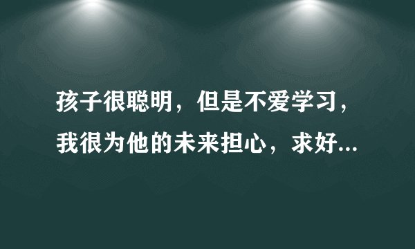 孩子很聪明，但是不爱学习，我很为他的未来担心，求好心人指点