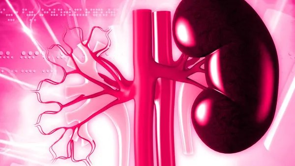 慢性肾衰怎样治疗