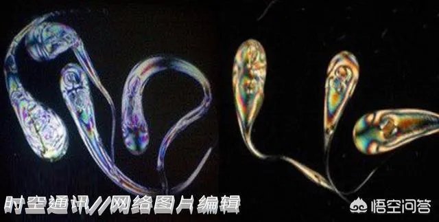 子弹都打不碎的“鲁珀特之泪”为何一捏尾部就碎了?