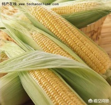 松原乾安最具特色的年味特产是什么?