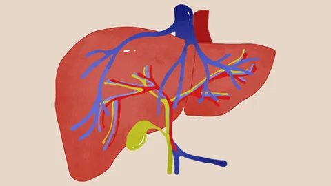 有乙肝可以办健康证吗