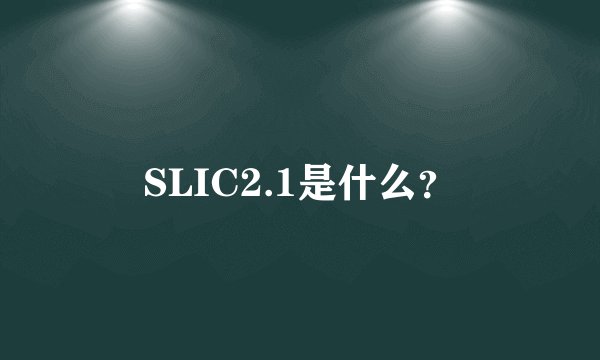 SLIC2.1是什么？