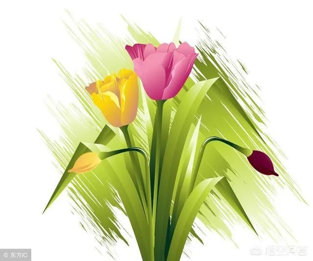 你觉得许戈辉是个怎样的人?