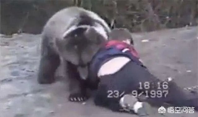 ufc中，小鹰的优点是什么？