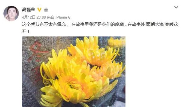 薛之谦为什么又复婚