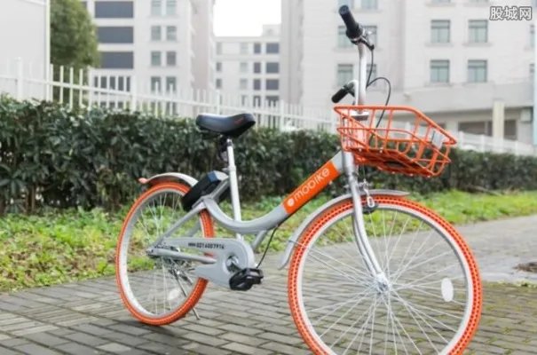 胡玮炜个人资料 胡玮炜父亲是首富真的吗？