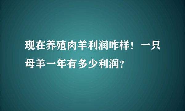 现在养殖肉羊利润咋样!一只母羊一年有多少利润?