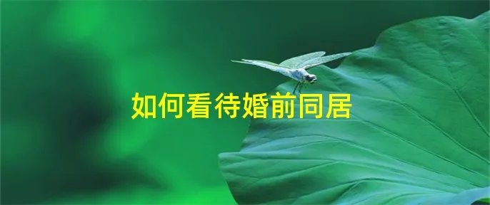 如何看待婚前同居