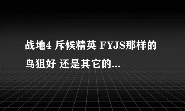 战地4 斥候精英 FYJS那样的鸟狙好 还是其它的普通单狙好?