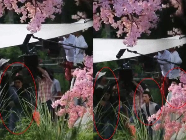 章子怡发文斥代拍，明星代拍真的很过分吗？