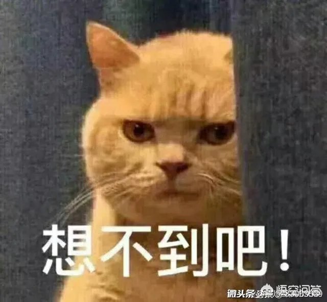 以色列美国大使馆