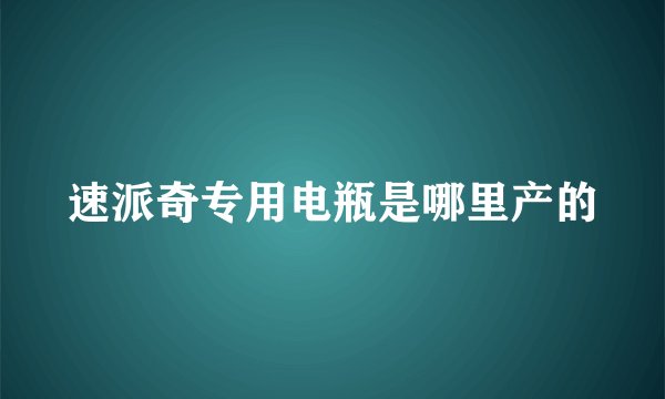 速派奇专用电瓶是哪里产的