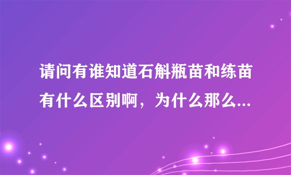 请问有谁知道石斛瓶苗和练苗有什么区别啊，为什么那么难种植啊？