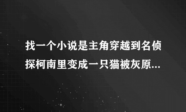 找一个小说是主角穿越到名侦探柯南里变成一只猫被灰原哀（宫野志保形态）收养了主角可以变成人？