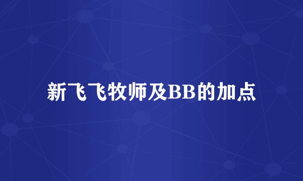 新飞飞牧师及BB的加点