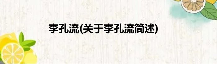 李孔流(关于李孔流简述)