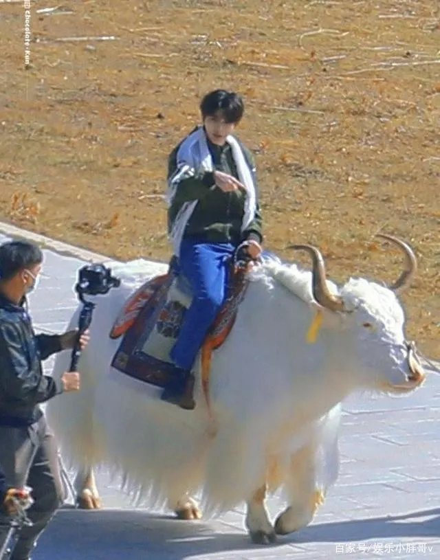 Baby被曝退出《跑男》，嘉宾大换血？它会成为下一个《极挑》吗？