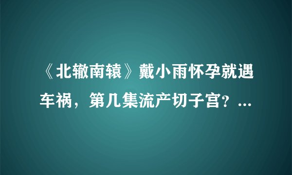 《北辙南辕》戴小雨怀孕就遇车祸，第几集流产切子宫？结局小雨和谁在一起了？
