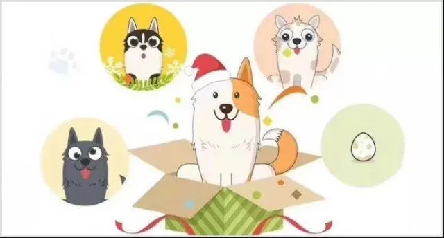 加密狗新手攻略大全 新手怎么玩