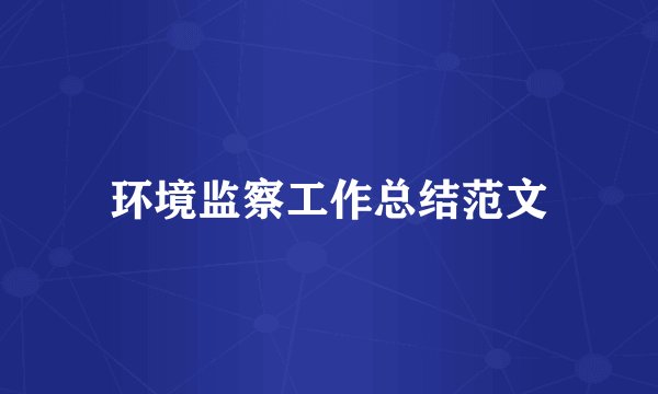 环境监察工作总结范文