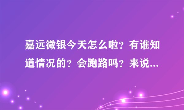 嘉远微银今天怎么啦？有谁知道情况的？会跑路吗？来说说吧！急！