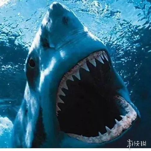 最为经典的十部怪兽电影 必有一部是你的童年阴影！