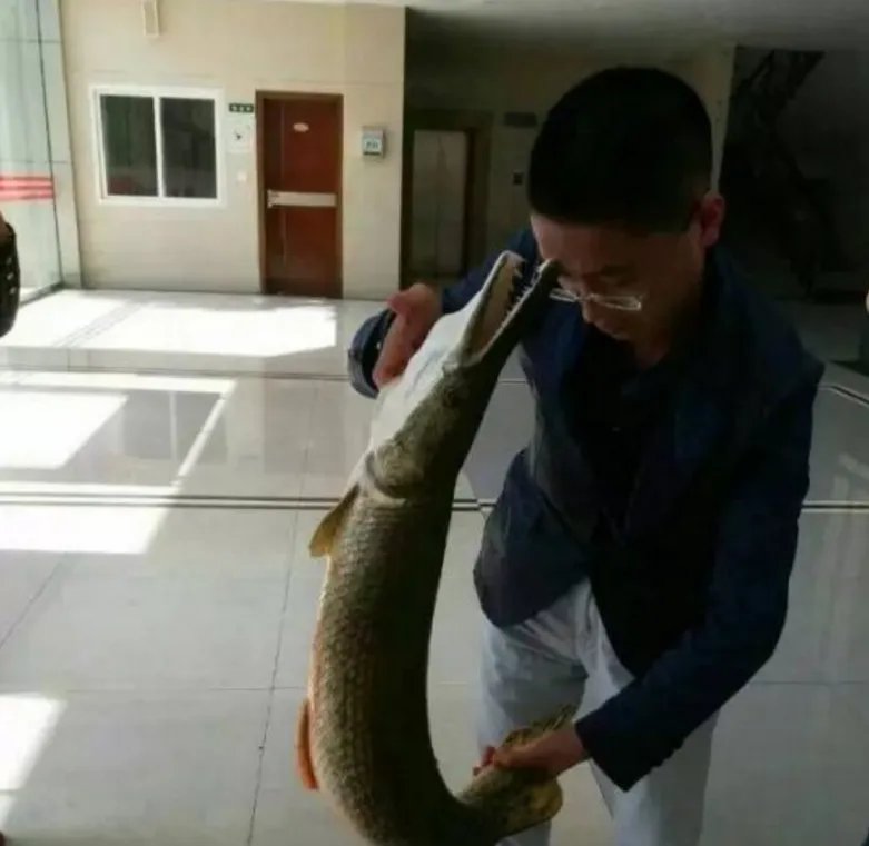 网曝高校钓起怪鱼是怎么回事？