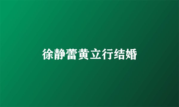 徐静蕾黄立行结婚