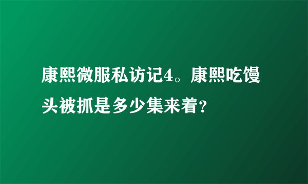 康熙微服私访记4。康熙吃馒头被抓是多少集来着？