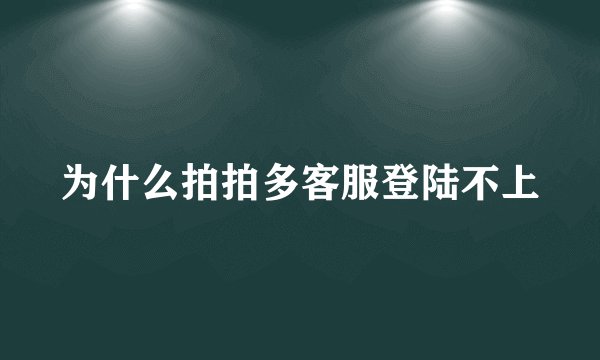 为什么拍拍多客服登陆不上