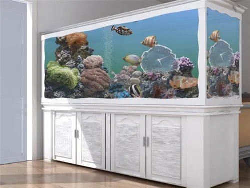 鱼缸水泵要一直开着吗