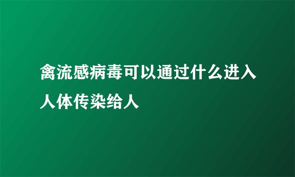 禽流感病毒可以通过什么进入人体传染给人