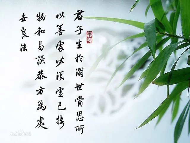 竹子的象征意义是什么 竹子的精神是什么