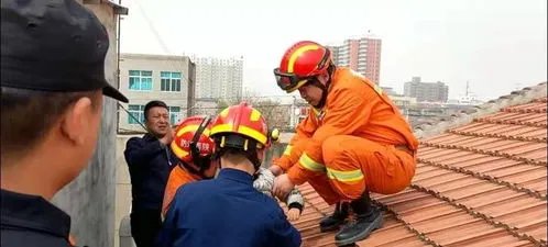 长春一女子因感情问题欲跳楼,消防员是如何将其救下的?