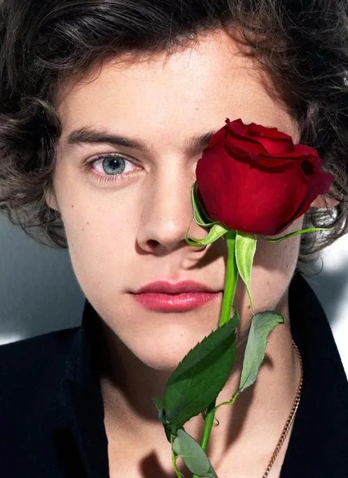 如何看待2017上海维密邀请Harry Styles表演？