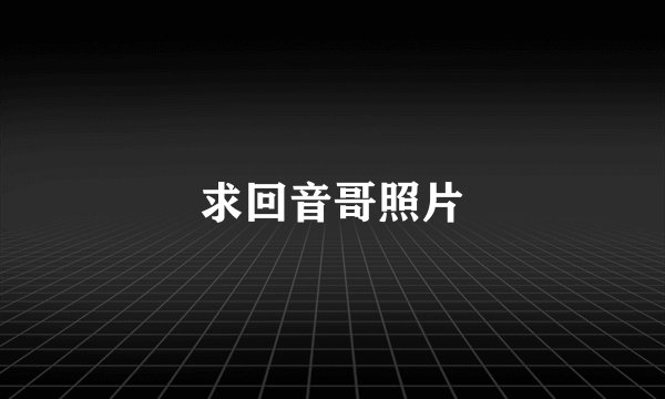 求回音哥照片