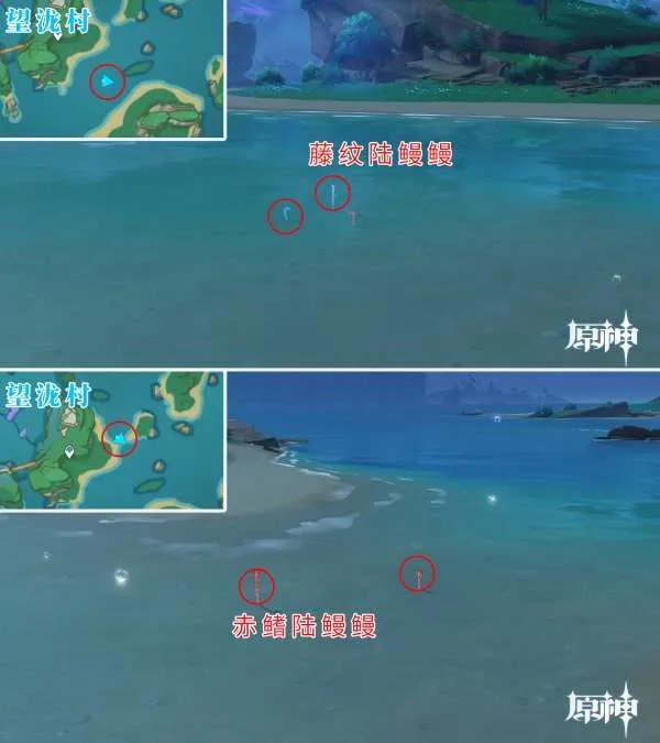 原神四方八方之网可捕捉动物在哪