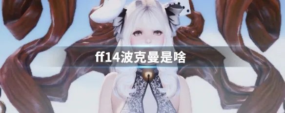 ff14波克曼是啥