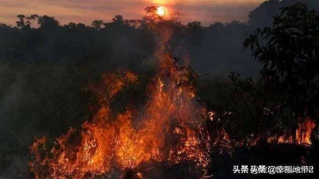 G7资助亚马孙雨林灭火，巴西总统为何严词拒绝？