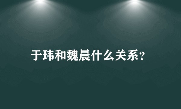 于玮和魏晨什么关系？