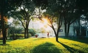 十一安全出游，应注意哪些问题？