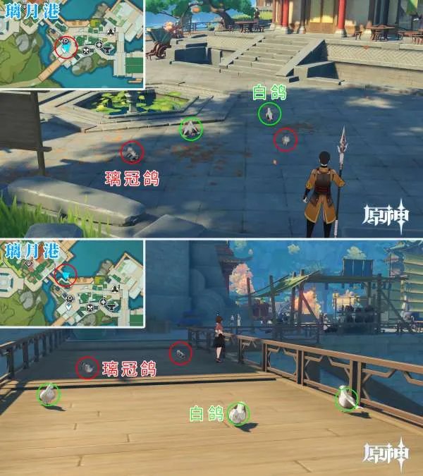 原神四方八方之网可捕捉动物在哪