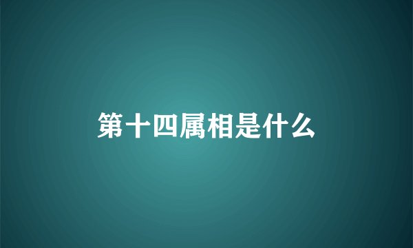 第十四属相是什么
