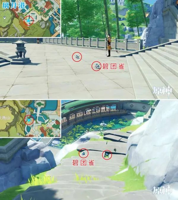 原神四方八方之网可捕捉动物在哪