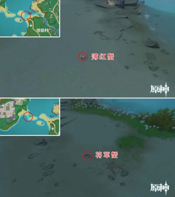 原神四方八方之网可捕捉动物在哪