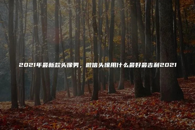 2021年最新款头像男，微信头像用什么最好最吉利2021