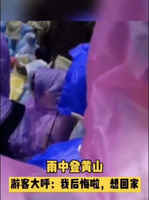 黄山爬到一半想回家进退两难,对此你有何看法?