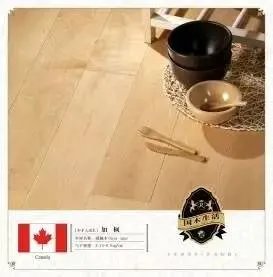 富林地板:欢乐颂“五帅” 谁是你的菜?